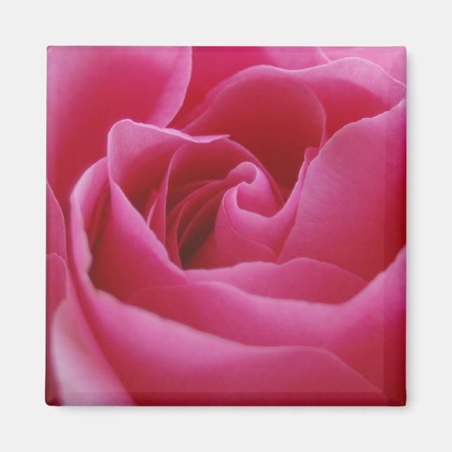 Imã Magneta Floral Rosa (Frente)