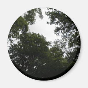 Imã Magneta Florestal Assustadora