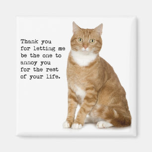 Imã Magneta Gato Enrugada