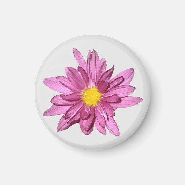 Imã Magneta Gerbera Púrpura Luz (Frente)
