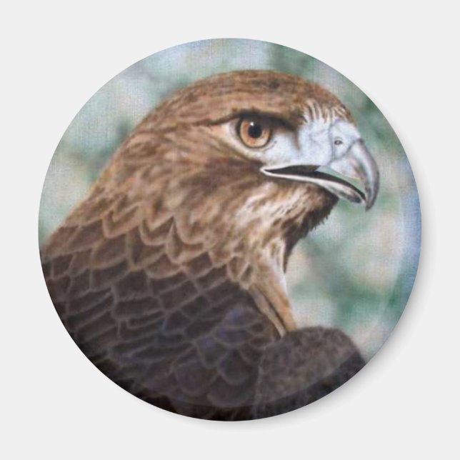 Imã Magneta Hawk Red-tail (Frente)