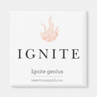 Imã Magneta "Ignite" da Waterhouse