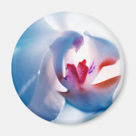 Imã Magneta Impressão de Orquídea de Cores Suaves