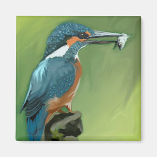 Imã Magneta King and Fish