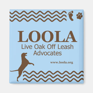 Imã Magneta metálica LOOLAorg quadrada