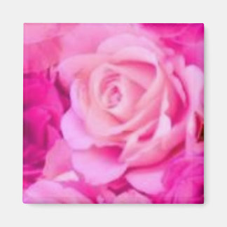 Imã Magneta multipropósito