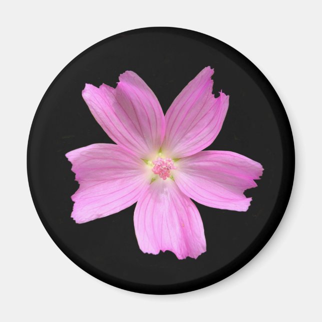 Imã Magneta Musk-Mallow (Frente)