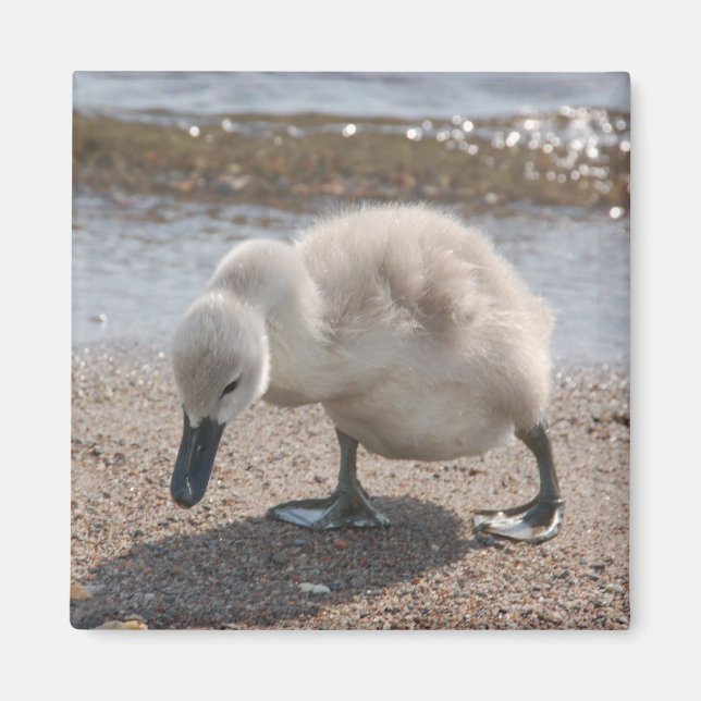 Imã Magneta Nadinha (Frente)