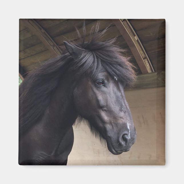 Imã Magneta Nobre de Cavalo Viking (Frente)