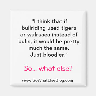 Imã Magneta para Bullitar