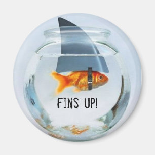 Imã magneta para cima!