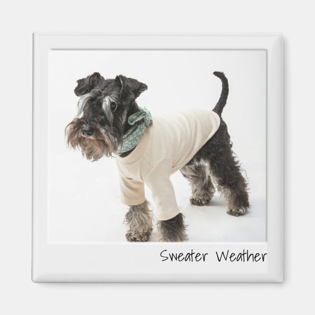 Imã Magneta Personalizada Da Câmera Instantânea Do Cli (Frente)