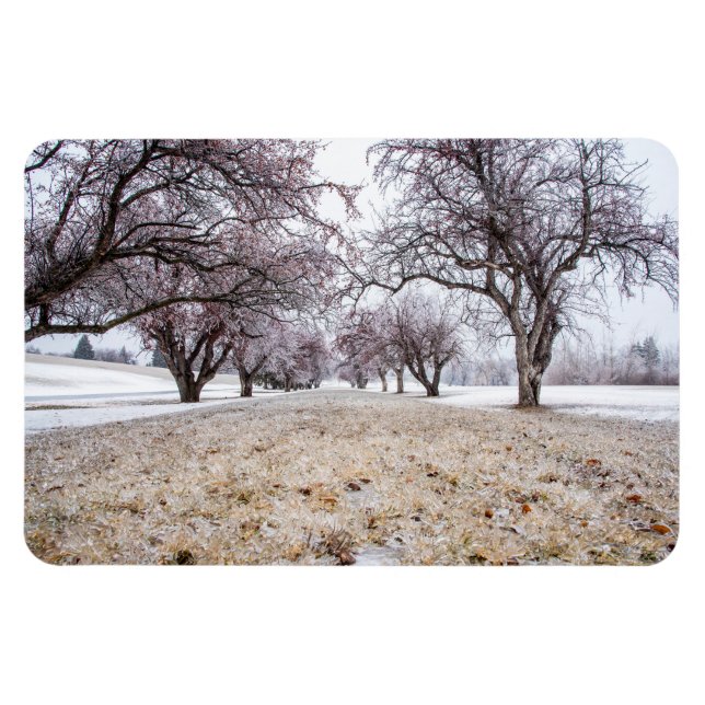 Ímã Magneta plana 4x6 (Horizontal)