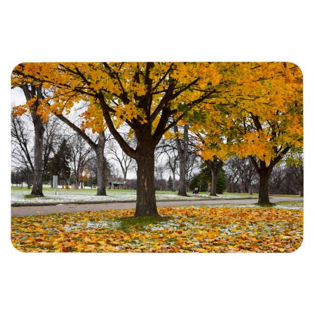 Ímã Magneta plana 4x6 (Horizontal)