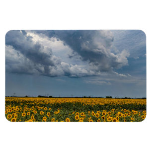 Ímã Magneta plana 4x6