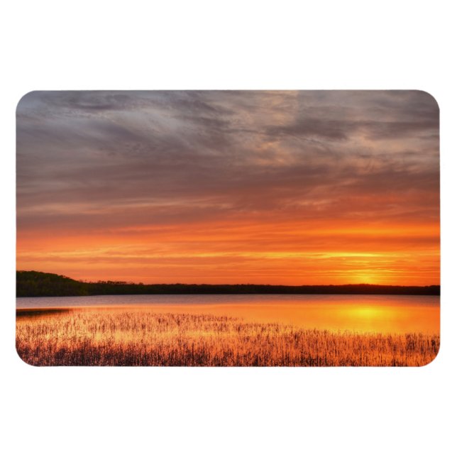 Ímã Magneta plana 4x6 (Horizontal)