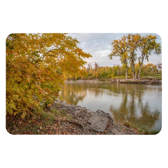 Ímã Magneta plana 4x6 (Horizontal)