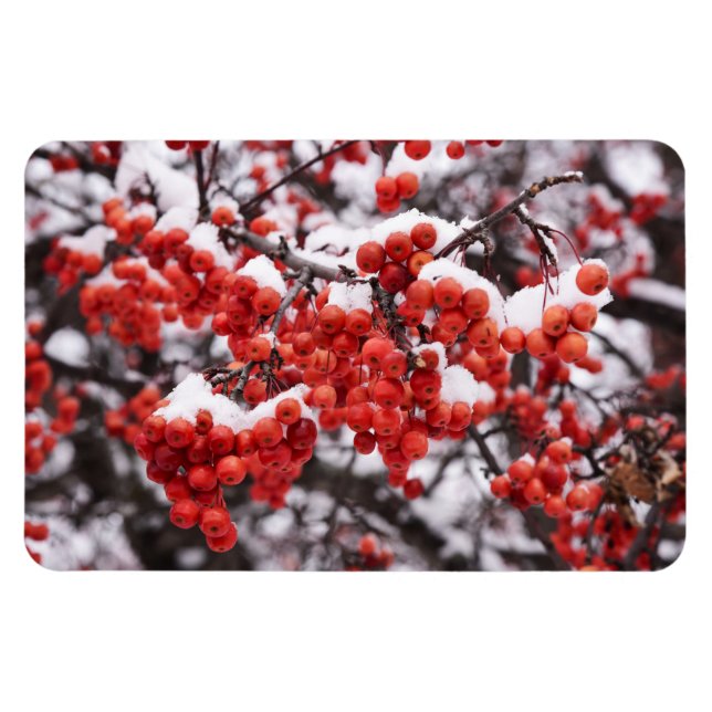 Ímã Magneta plana 4x6 (Horizontal)