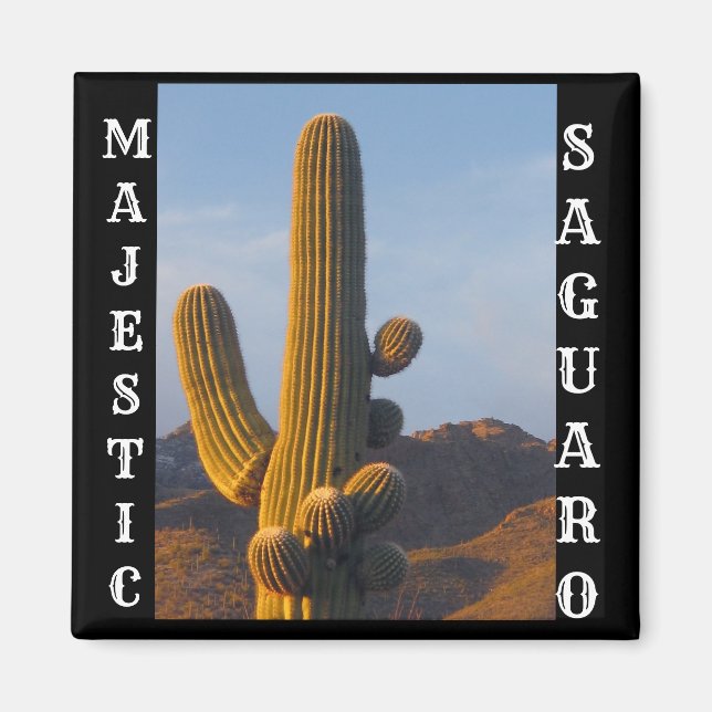 Imã Magneta praça Saguaro majestosa (Frente)