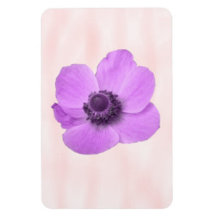 Ímã Magneta Premium Anemone Rosa