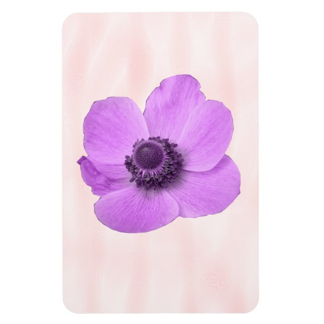 Ímã Magneta Premium Anemone Rosa (Vertical)