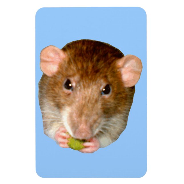 Ímã Magneta Premium com Rato Fome (Vertical)
