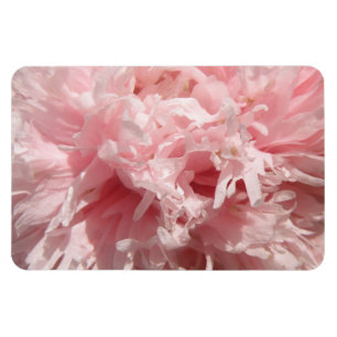 Ímã Magneta Premium, Cor-de-rosa pálido e bonito