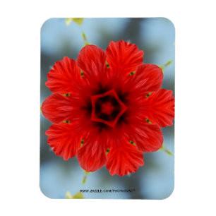 Ímã Magneta Premium de Flor Vermelho