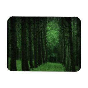 Ímã Magneta Premium de Floresta Encantada