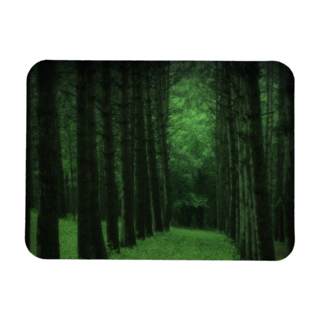 Ímã Magneta Premium de Floresta Encantada (Horizontal)