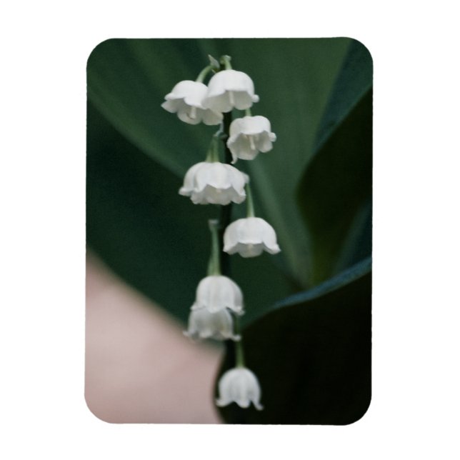 Ímã Magneta Premium dos Sinos Doces (Vertical)