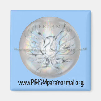 Imã Magneta PRISM