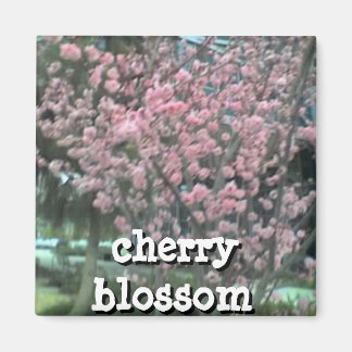 Imã Magneta quadrada