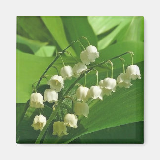 Imã Magneta quadrada