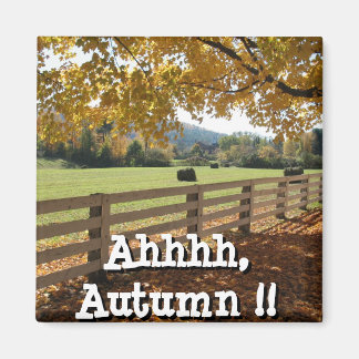 Imã Magneta quadrada