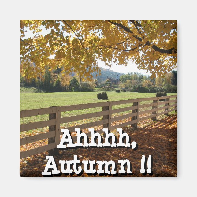 Imã Magneta quadrada (Frente)