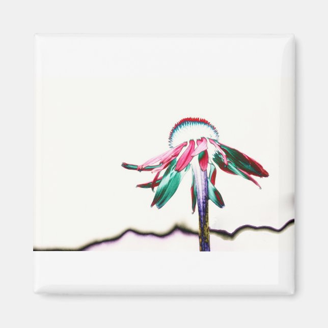 Imã Magneta quadrada (Frente)