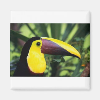 Imã Magneta quadrada