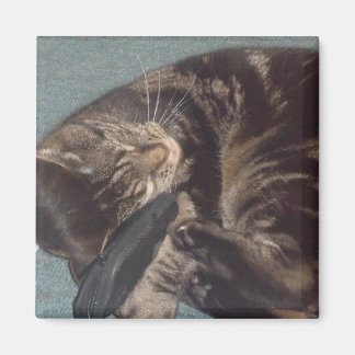 Imã Magneta Quadrada Dave 5.1 Cm