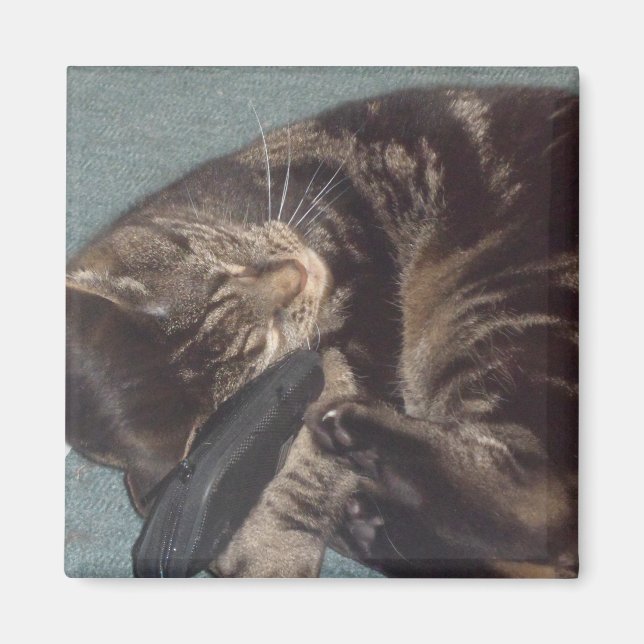 Imã Magneta Quadrada Dave 5.1 Cm (Frente)