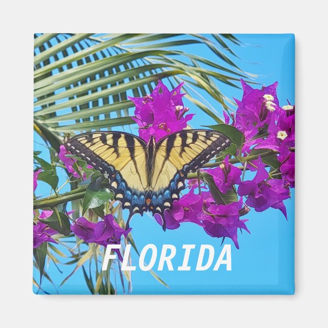 Imã Magneta quadrada de 2 polegadas (Frente)