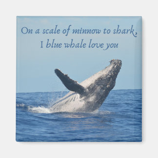 Imã Magneta quadrada de 2 polegadas