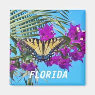 Imã Magneta quadrada de 2 polegadas