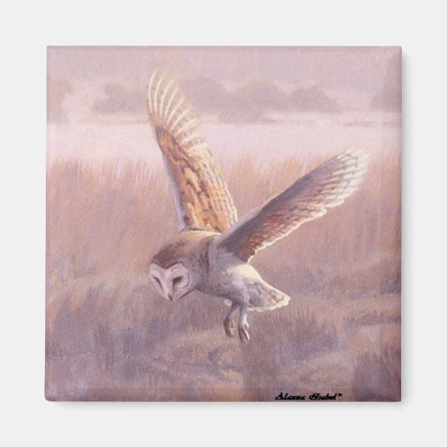 Imã Magneta Quadrada de Barn Owl (Frente)