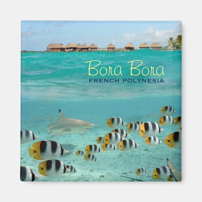 Imã Magneta quadrada de tubarão com texto Bora Bora (Frente)