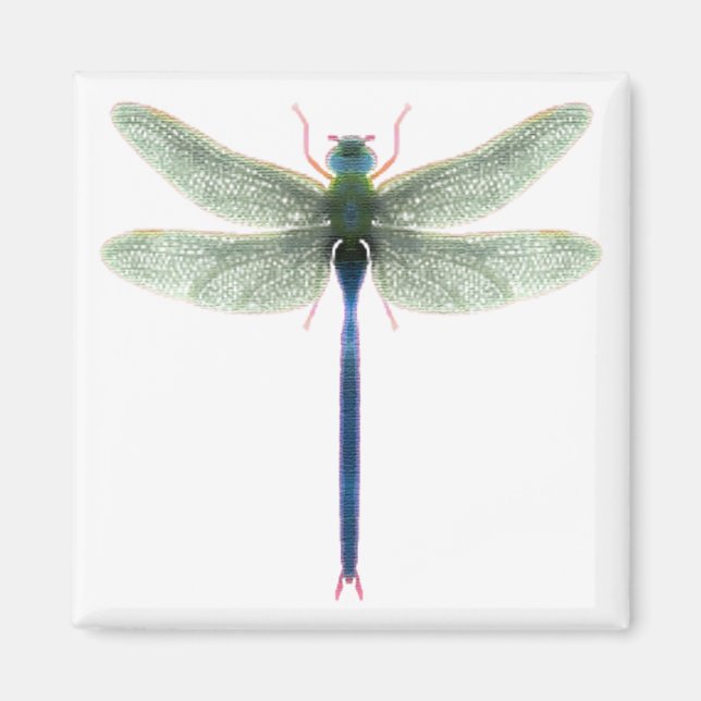 Imã Magneta Rainbow Dragonfly Square (Frente)