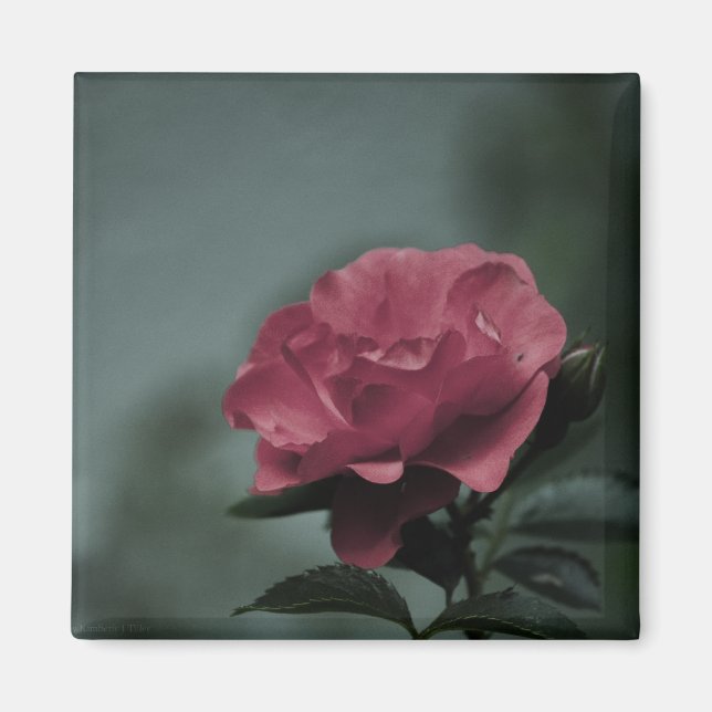 Imã Magneta Real Blush (Frente)