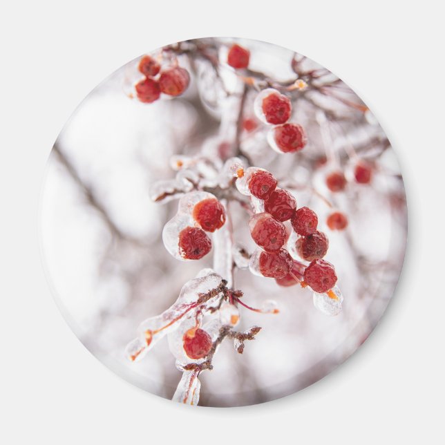 Imã Magneta redonda (Frente)