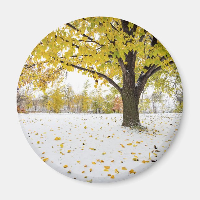 Imã Magneta redonda (Frente)