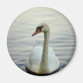 Imã Magneta redonda